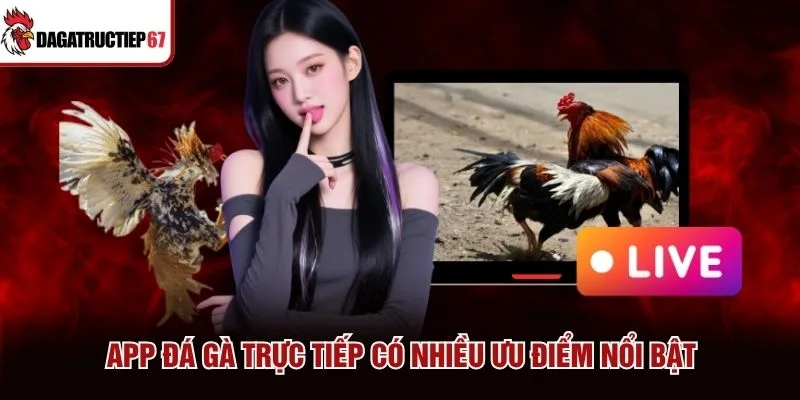 App đá gà trực tiếp có nhiều ưu điểm nổi bật