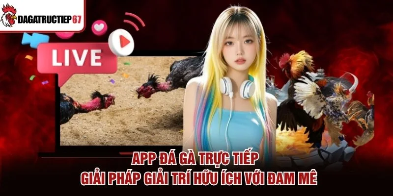 App Đá Gà Trực Tiếp - Giải Pháp Giải Trí Hữu Ích Với Đam Mê