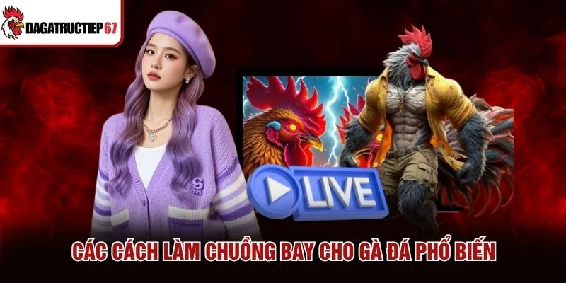 Các cách làm chuồng bay cho gà đá phổ biến