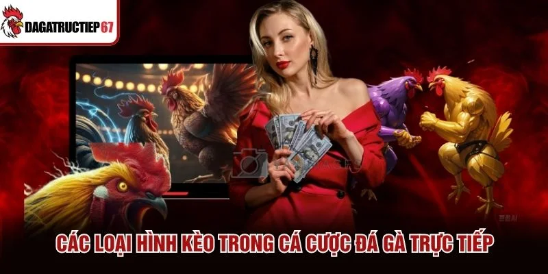 Các loại hình kèo trong cá cược đá gà trực tiếp