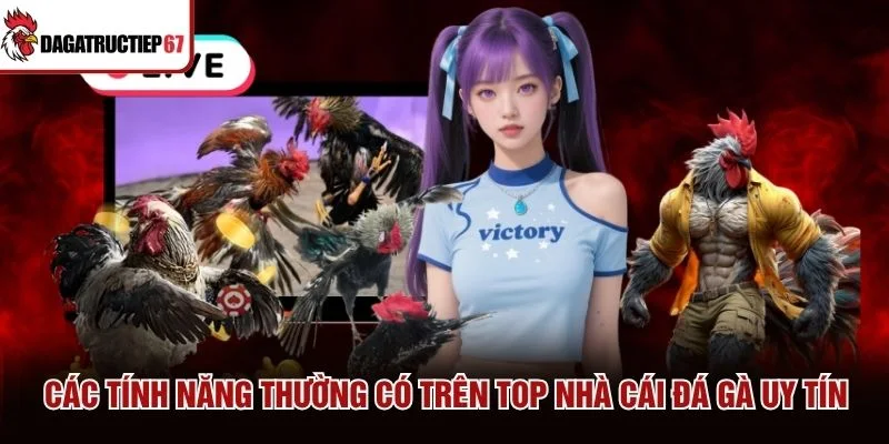 Các tính năng thường có trên top nhà cái đá gà uy tín