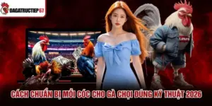 Cách Chuẩn Bị Mồi Cóc Cho Gà Chọi Đúng Kỹ Thuật 2026
