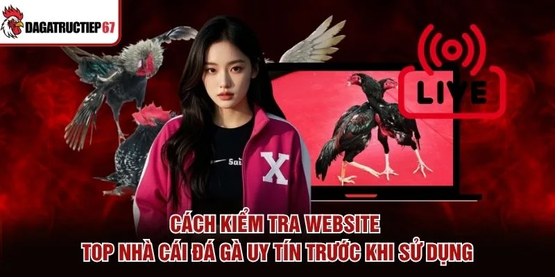 Cách kiểm tra website top nhà cái đá gà uy tín trước khi sử dụng