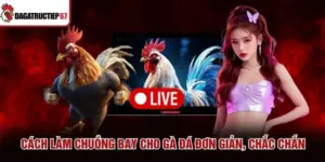 Cách Làm Chuồng Bay Cho Gà Đá Đơn Giản, Chắc Chắn