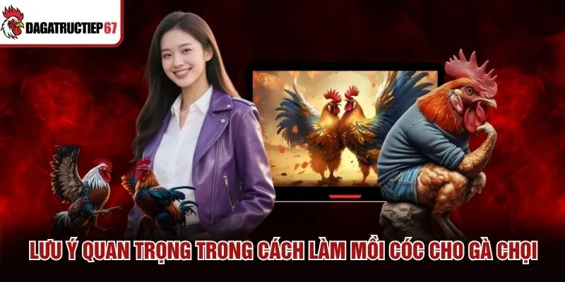 Cách làm mồi cóc cho gà chọi