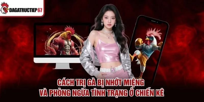 Cách trị gà bị nhớt miệng và phòng ngừa tình trạng ở chiến kê