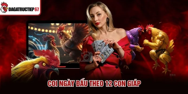 Coi ngày đấu theo 12 con giáp
