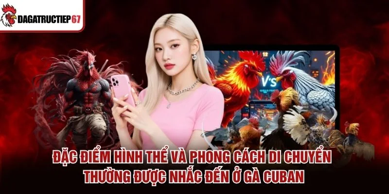 Đặc điểm hình thể và phong cách di chuyển thường được nhắc đến ở gà Cuban