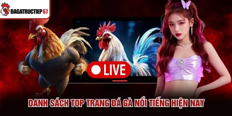 Danh sách top trang đá gà nổi tiếng hiện nay