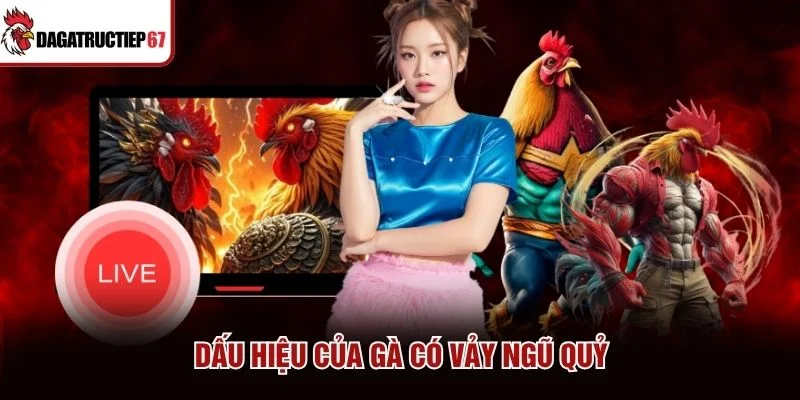 Dấu hiệu của gà có vảy ngũ quỷ