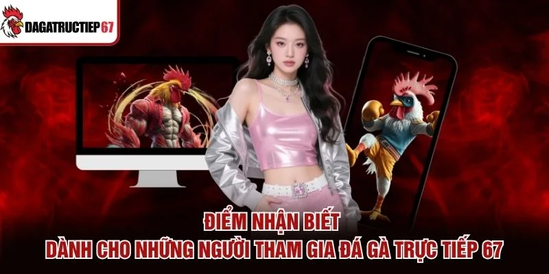 Điểm nhận biết dành cho những người tham gia Đá Gà Trực Tiếp 67
