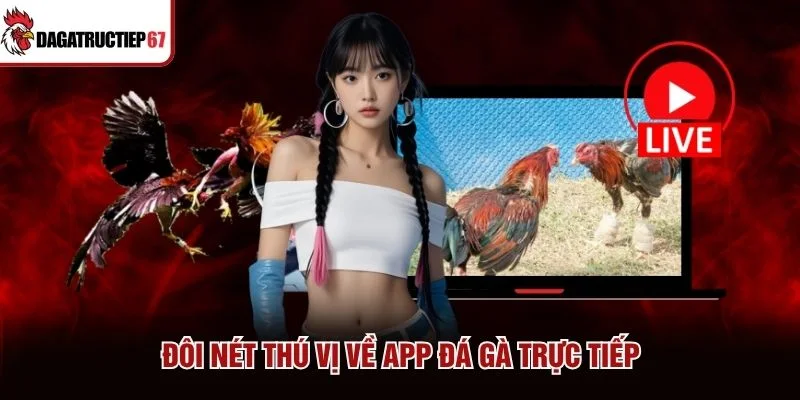 Đôi nét thú vị về app đá gà trực tiếp