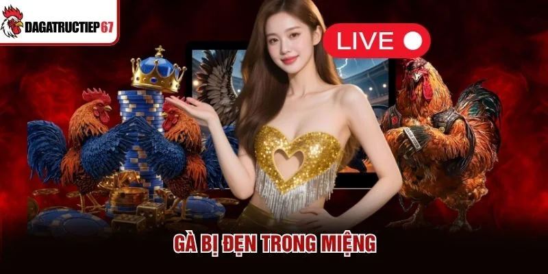 Gà bị đẹn trong miệng