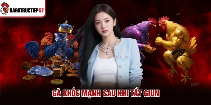 Gà khỏe mạnh sau khi tẩy giun Gà khỏe mạnh sau khi tẩy giun