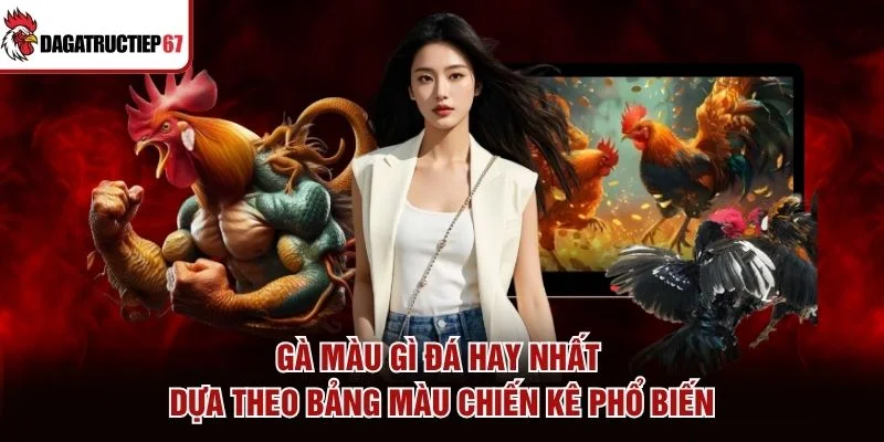 Gà màu gì đá hay nhất dựa theo bảng màu chiến kê phổ biến