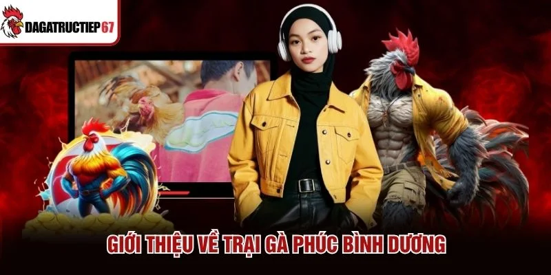 Giới thiệu trại gà Phúc Bình Dương
