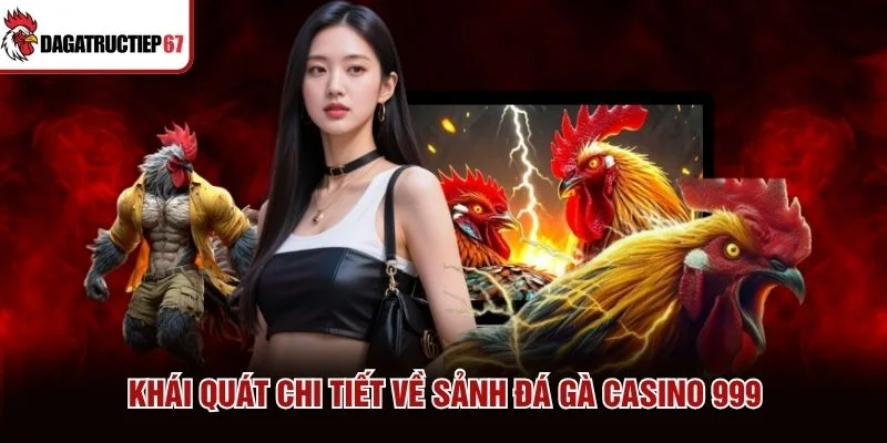 Khái quát chi tiết về sảnh đá gà Casino 999 Khái quát chi tiết về sảnh đá gà Casino 999