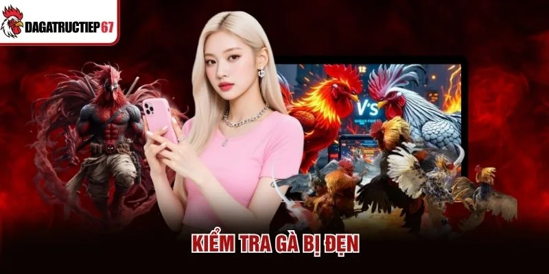 Kiểm tra gà bị đẹn