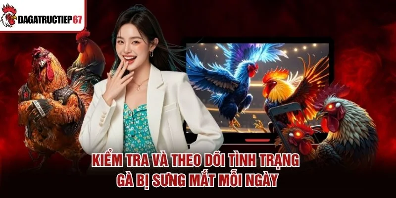 Kiểm tra và theo dõi tình trạng gà bị sưng mắt mỗi ngày