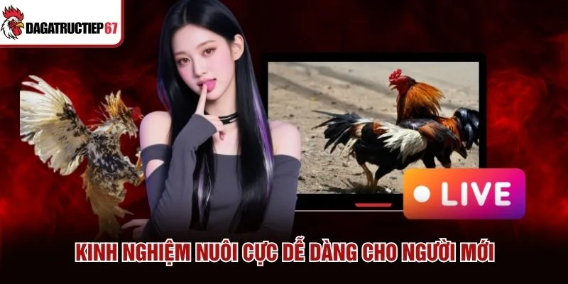 Kinh nghiệm nuôi cực dễ dàng cho người mới