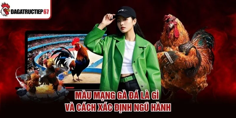 Màu mạng gà đá là gì và cách xác định ngũ hành