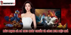 Màu Mạng Gà Đá Theo Ngày Chuẩn Và Cách Xem Hiệu Quả