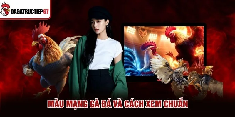 Màu mạng gà đá và cách xem chuẩn
