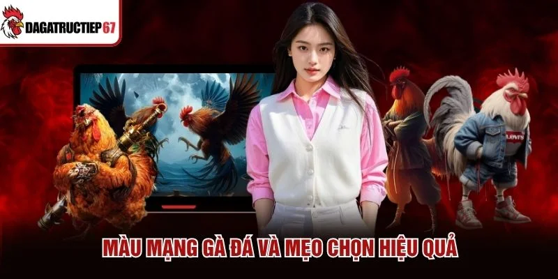 Màu mạng gà đá và mẹo chọn hiệu quả