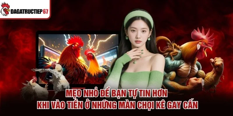 Mẹo nhỏ để bạn tự tin hơn khi vào tiền ở những màn chọi kê gay cấn