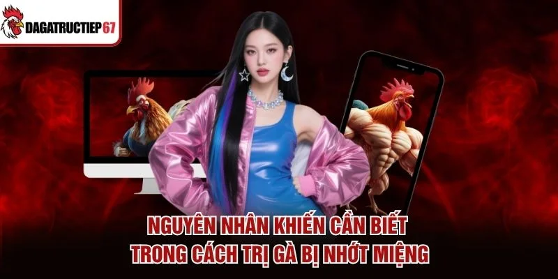 Nguyên nhân khiến cần biết trong cách trị gà bị nhớt miệng