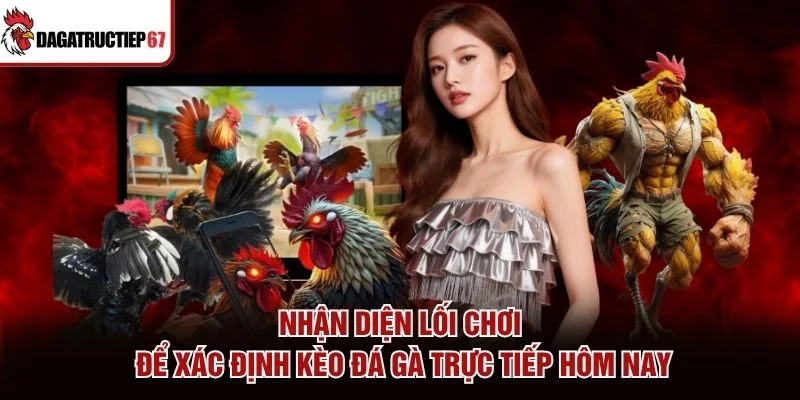 Nhận diện lối chơi để xác định kèo đá gà trực tiếp hôm nay