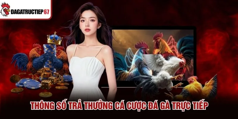 Thông số trả thưởng cá cược đá gà trực tiếp