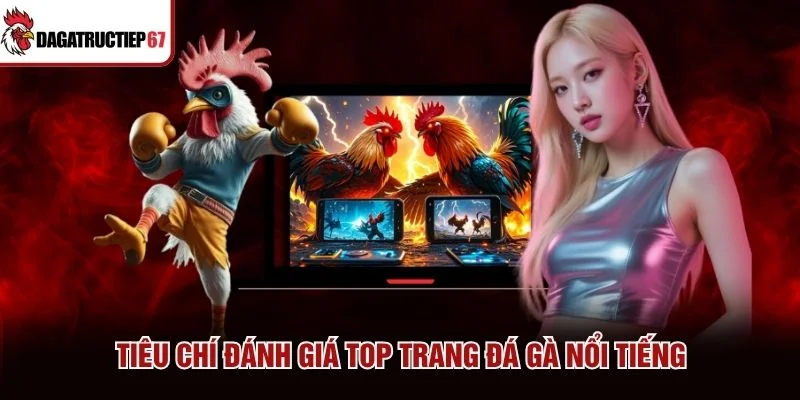 Tiêu chí đánh giá top trang đá gà nổi tiếng