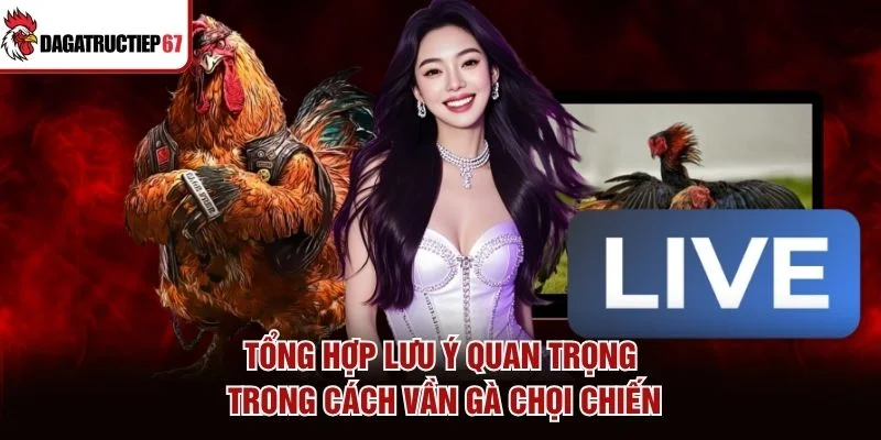 Tổng hợp lưu ý quan trọng trong cách vần gà chọi chiến