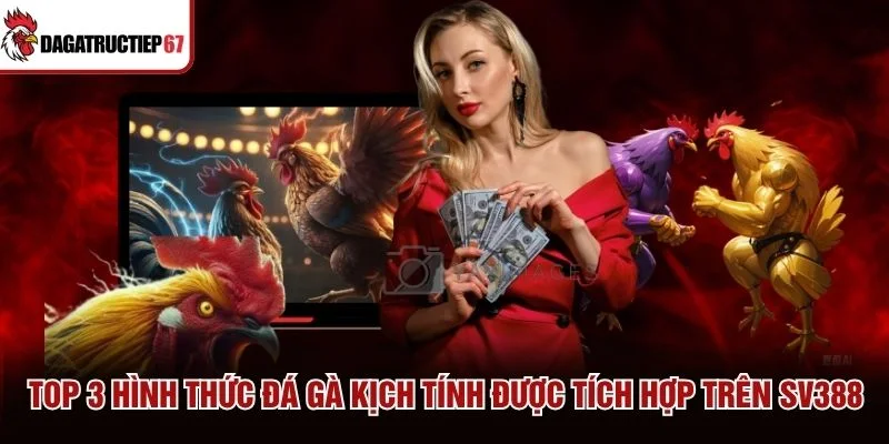 Top 3 hình thức đá gà kịch tính được tích hợp trên SV388