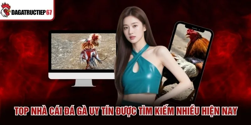 Top nhà cái đá gà uy tín được tìm kiếm nhiều hiện nay
