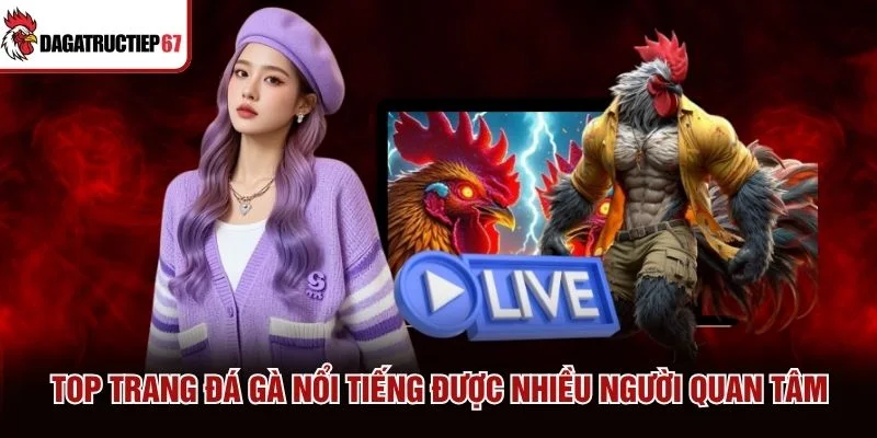 Top trang đá gà nổi tiếng được nhiều người quan tâm