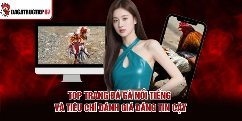 Top Trang Đá Gà Nổi Tiếng Và Tiêu Chí Đánh Giá Đáng Tin Cậy