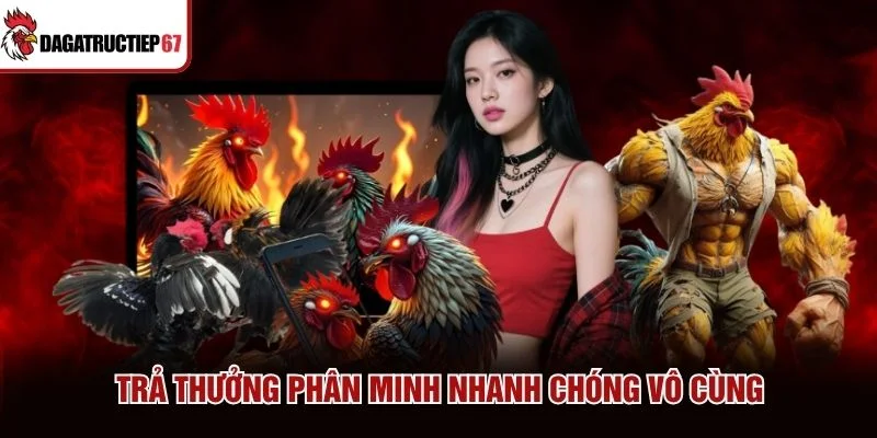 Trả thưởng phân minh nhanh chóng vô cùng Trả thưởng phân minh nhanh chóng vô cùng