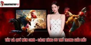 Vảy Gà Quý Nên Chơi - Cách Tăng Ưu Thế Trong Giải Đấu