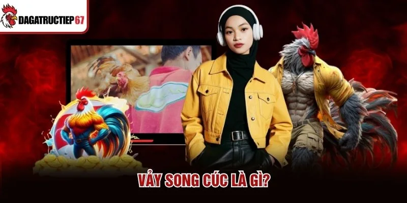 Vảy song cúc là gì?